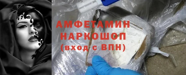 индика Магас