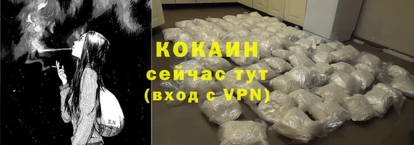 дживик Абаза