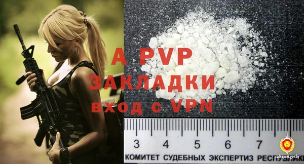 индика Магас