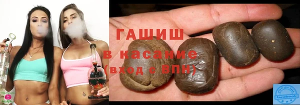 индика Магас