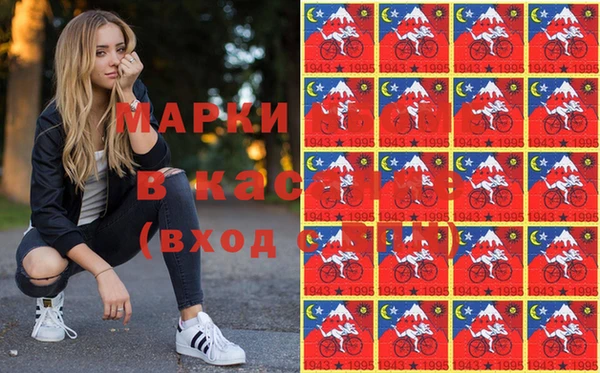 индика Магас