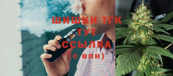 индика Магас