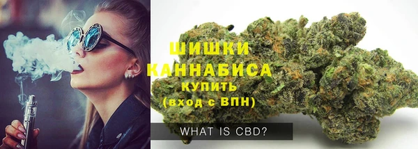 индика Магас