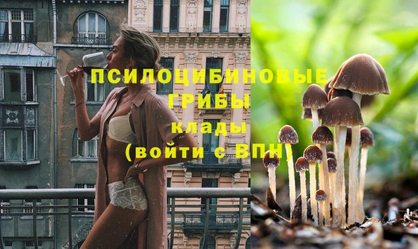 марихуана Магадан