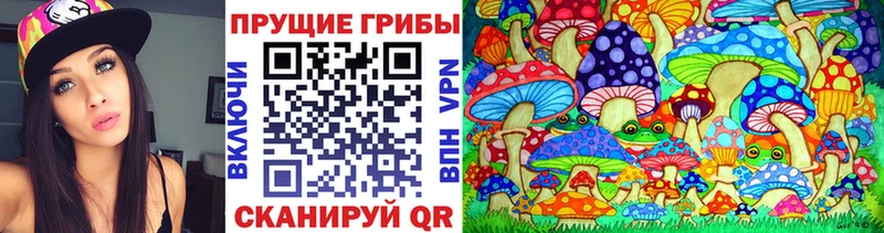 Галлюциногенные грибы Psilocybe  Абдулино 
